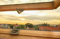 rated Eddleston roof window companies